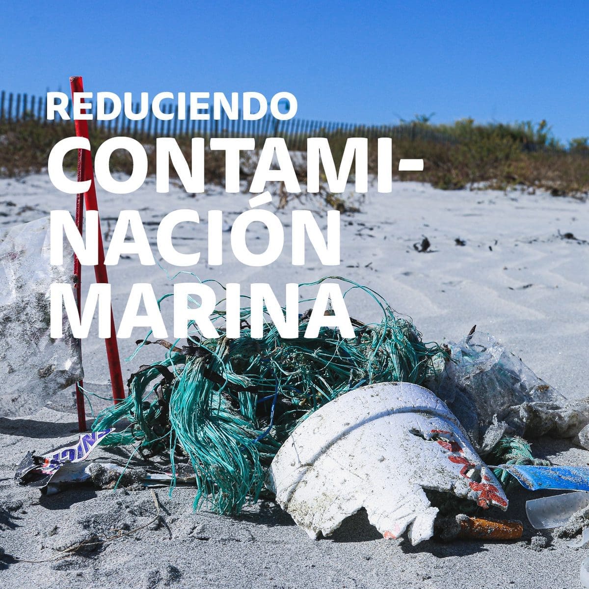 alternativa sostenible de movilidad urbana